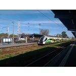 Zdjęcia użytkowników Asus ZenFone 2 Laser 5.0 Zdjęcia użytkowników Asus ZenFone 2 Laser 5.0