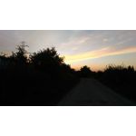 Zdjęcia użytkowników Asus ZenFone 2 Laser 5.0 Zdjęcia użytkowników Asus ZenFone 2 Laser 5.0