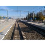 Zdjęcia użytkowników Asus ZenFone 2 Laser 5.0 Zdjęcia użytkowników Asus ZenFone 2 Laser 5.0