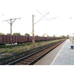 Zdjęcia użytkowników Asus ZenFone 2 Laser 5.0 Zdjęcia użytkowników Asus ZenFone 2 Laser 5.0