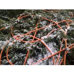 Zdjęcia użytkowników Asus ZenFone 2 ZE551ML