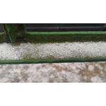 ZDJĘCIA Z TEGO TELEFONU