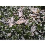 ZDJĘCIA Z TEGO TELEFONU