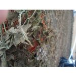 Zdjęcia użytkowników Asus ZenFone 2 ZE551ML