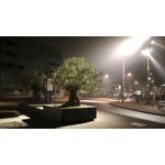 Zdjęcia użytkowników Asus ZenFone 3 Deluxe ZS570KL