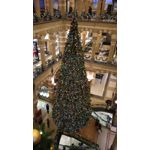 Zdjęcia użytkowników Asus ZenFone 3 Deluxe ZS570KL