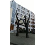 Zdjęcia użytkowników Asus ZenFone 3 Deluxe ZS570KL