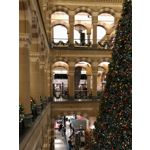 Zdjęcia użytkowników Asus ZenFone 3 Deluxe ZS570KL