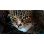 ZDJĘCIA Z TEGO TELEFONU