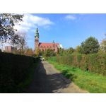 Zdjęcia użytkowników Asus ZenFone 4 A450CG Zdjęcia użytkowników Asus ZenFone 4 A450CG