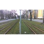 Zdjęcia użytkowników Asus ZenFone 4 A450CG Zdjęcia użytkowników Asus ZenFone 4 A450CG