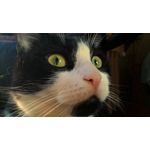 ZDJĘCIA Z TEGO TELEFONU