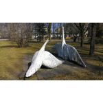 Zdjęcia użytkowników Asus ZenFone 4 A450CG Zdjęcia użytkowników Asus ZenFone 4 A450CG