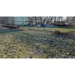 Zdjęcia użytkowników Asus ZenFone 4 Pro Zdjęcia użytkowników Asus ZenFone 4 Pro