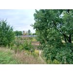 Zdjęcia użytkowników Asus ZenFone 4 ZE554KL