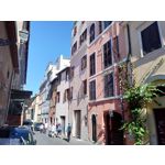 Zdjęcia użytkowników Asus ZenFone 4 ZE554KL