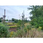 Zdjęcia użytkowników Asus ZenFone 4 ZE554KL