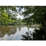 Zdjęcia użytkowników Asus ZenFone 5