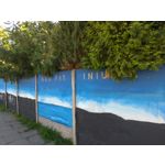 Zdjęcia użytkowników Asus ZenFone 5