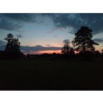 Zdjęcia użytkowników Asus ZenFone 5