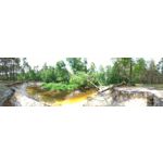 Zdjęcia użytkowników Asus ZenFone 5