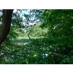 Zdjęcia użytkowników Asus ZenFone 5