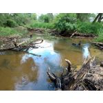 Zdjęcia użytkowników Asus ZenFone 5