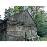 Zdjęcia użytkowników Asus ZenFone 5