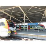 Zdjęcia użytkowników Asus ZenFone 5