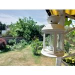 Zdjęcia użytkowników Asus ZenFone 5