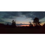 Zdjęcia użytkowników Asus ZenFone 5