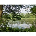 Zdjęcia użytkowników Asus ZenFone 5