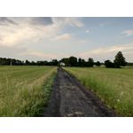 Zdjęcia użytkowników Asus ZenFone 5