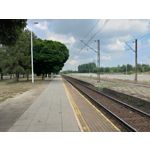 Zdjęcia użytkowników Asus ZenFone 5