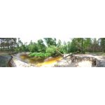 Zdjęcia użytkowników Asus ZenFone 5