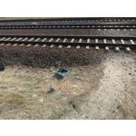 Zdjęcia użytkowników Asus ZenFone 5