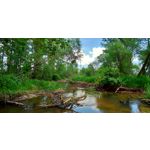 Zdjęcia użytkowników Asus ZenFone 5