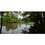 Zdjęcia użytkowników Asus ZenFone 5