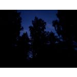 Zdjęcia użytkowników Asus ZenFone 5