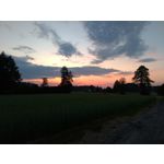 Zdjęcia użytkowników Asus ZenFone 5