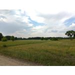 Zdjęcia użytkowników Asus ZenFone 5