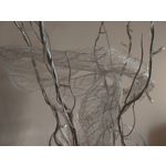 Zdjęcia użytkowników Asus ZenFone 5