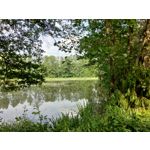 Zdjęcia użytkowników Asus ZenFone 5