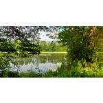 Zdjęcia użytkowników Asus ZenFone 5