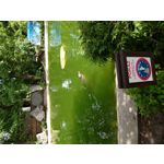 Zdjęcia użytkowników Asus ZenFone 5Z ZS620KL