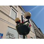 Zdjęcia użytkowników Asus ZenFone 6 ZS630KL