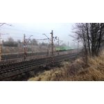 Zdjęcia użytkowników Asus ZenFone 6