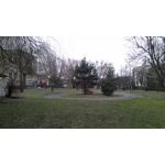 Zdjęcia użytkowników Asus ZenFone 6