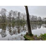 Zdjęcia użytkowników Asus ZenFone 8