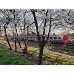 Zdjęcia użytkowników Asus ZenFone 8